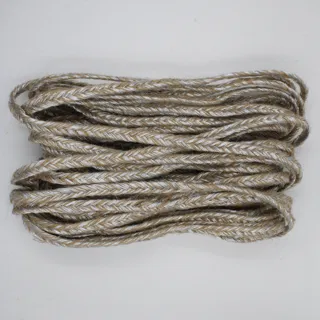 Beige and Silver Tone Flat Choti Braid sample, design MT-AF4E4405, view 2