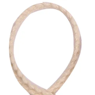 Pale Beige Picot Edge Braided Trim for Sewing sample, design MT-4B05A03F, view 3