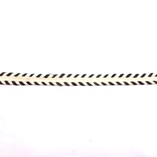 Cream and Black Chevron Flat Braided Trim sample, design MT-C149B751, view 3