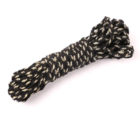 Black Choti Braid with Champagne Flecks