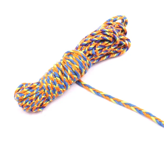 Blue, Yellow, Orange and Deep Violet Choti Braid