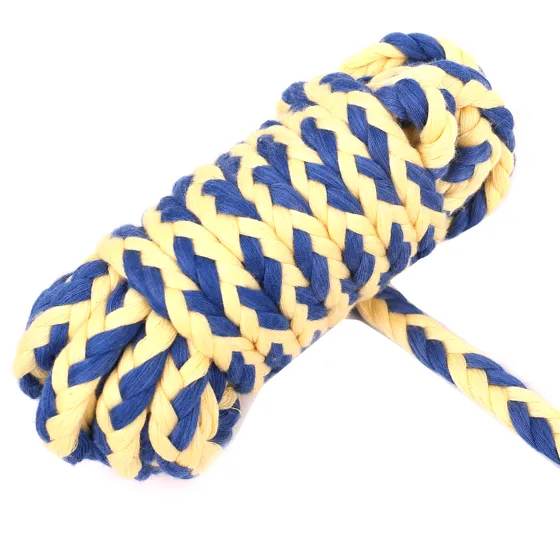 Royal Blue and Pale Yellow Chunky Choti Braid