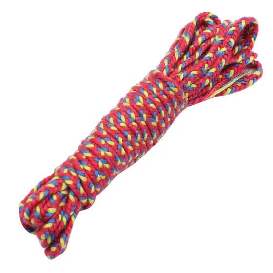 Bright Red, Blue and Yellow Choti Braid