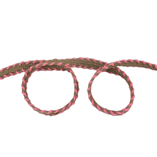 Olive-Brown and Pink Edge-Stitched Flat Braided Trim sample, design MT-9582FC20, view 3